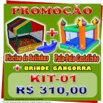 Kit01: Pula-Pula Castelinho + Piscina de Bolinhas + Gangorra de Brinde